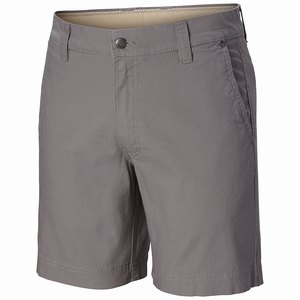 Columbia Flex ROC™ Short Herr Grå (LMBEN7243)